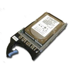 45W2344 - IBM - 300GB 15000RPM Fibre Channel 4Gbps Hot Swap 16MB Cache 3.5-inch Internal Hard Drive for DS6000 and DS8000